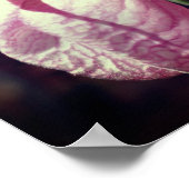 ワイルドピンクレディスリッパーオーキッドペアクローズアップ ポスター (角)