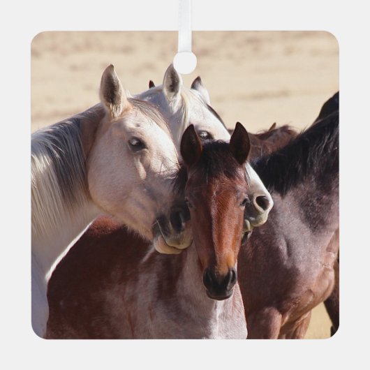 ワイルドファミリーラブオーナメント メタルオーナメント (正面)