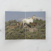 ワイルドファミリーワイルドホースグリーティングカード カード (内部)