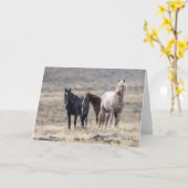 ワイルドファミリ：Galloping to Freedomグリーティングカード カード (黄色い花)