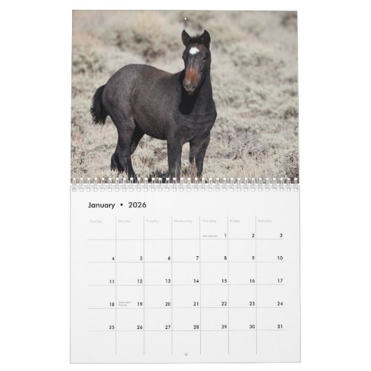 ワイルドフォーズオブソルトウェルズクリーク カレンダー (1月 2026)