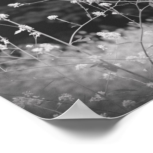 ワイルドフラワーお洒落の白黒 ポスター (角)