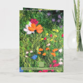 ワイルドフラワーかわいらしの牧草地グリーティングカード カード (裏面)