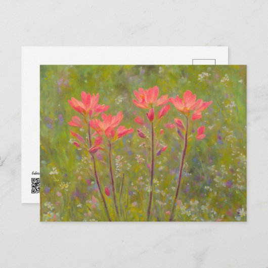 ワイルドフラワーかわいらしズインディアンペイントブラシフローラ ポストカード (正面/裏面)