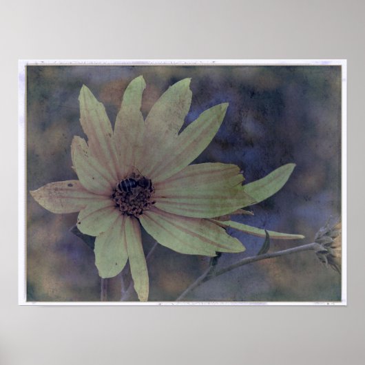 ワイルドフラワーとビー ポスター (正面)