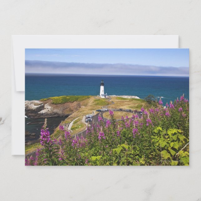 ワイルドフラワーとヤキナ (正面)