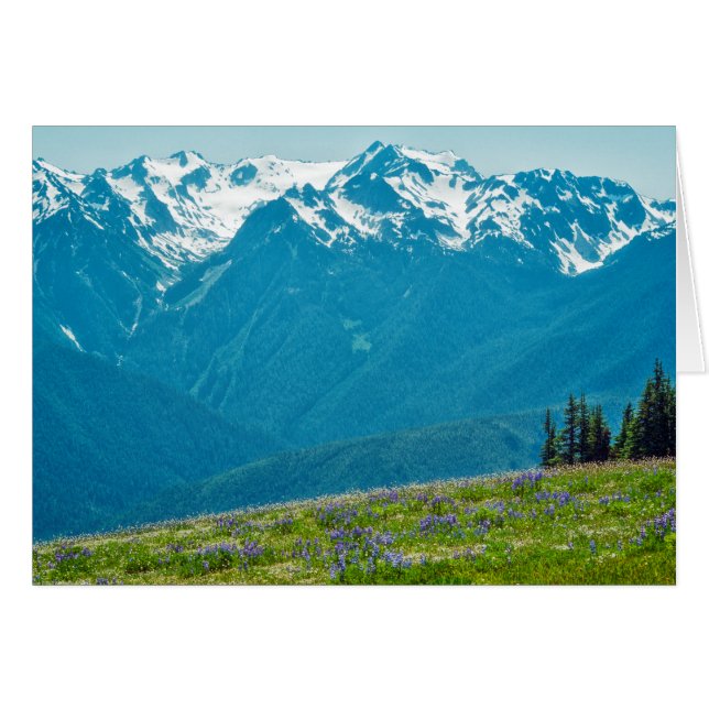 ワイルドフラワーと山 (正面横)