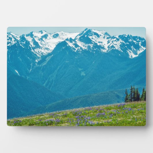 ワイルドフラワーと山 フォトプラーク (正面)