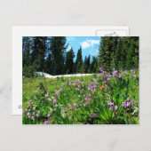 ワイルドフラワーと松の木 ポストカード (正面/裏面)