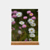 ワイルドフラワーのささやき アクリルサイン (正面)