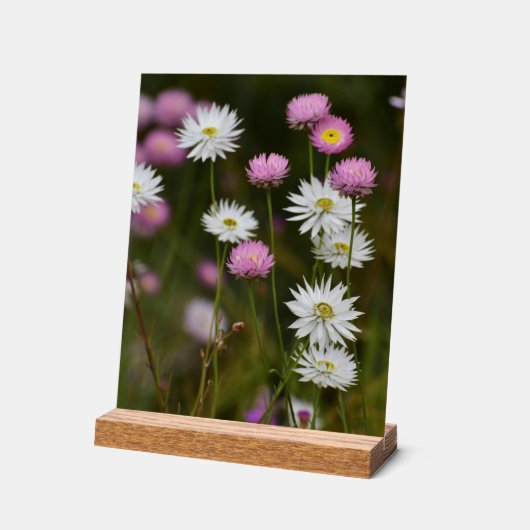 ワイルドフラワーのささやき アクリルサイン (傾斜)