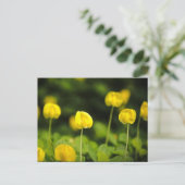 ワイルドフラワーのポストカード ポストカード (スタンド正面)