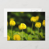 ワイルドフラワーのポストカード ポストカード (正面/裏面)