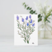 ワイルドフラワーのポストカード ポストカード (スタンド正面)