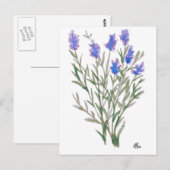 ワイルドフラワーのポストカード ポストカード (正面/裏面)