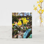 ワイルドフラワーの写真付きの折り畳みグリーティングカード カード (黄色い花)