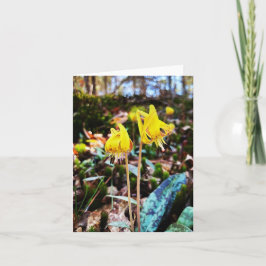ワイルドフラワーの写真付きの折り畳みグリーティングカード カード