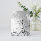 ワイルドフラワーの夏 ポストカード (スタンド正面)