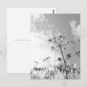 ワイルドフラワーの夏 ポストカード (正面/裏面)