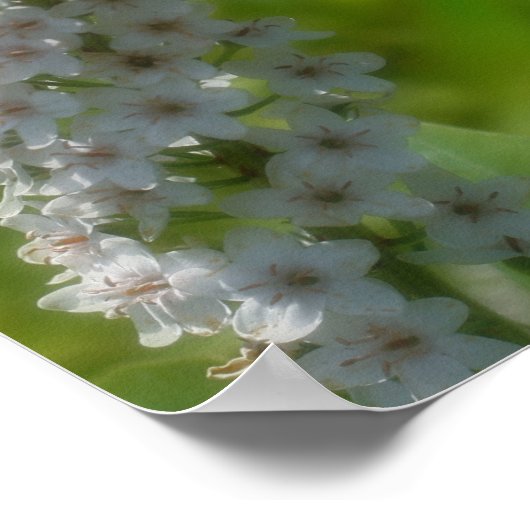 ワイルドフラワーの感動的引用文 ポスター (角)