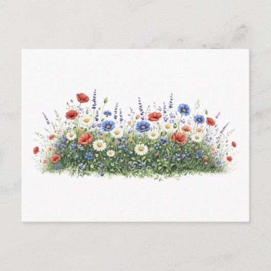ワイルドフラワーの花畑 シーズンポストカード (正面)