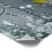 ワイルドフラワーの黒馬 ポスター (角)