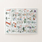 ワイルドフラワーアルファベットパズル |自然アルファベット ジグソーパズル (横)