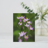 ワイルドフラワーアート写真 ポストカード (スタンド正面)