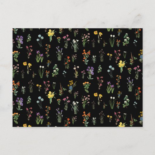 ワイルドフラワーウォーターカラーブラックボタニカルフローラ シーズンポストカード (正面)