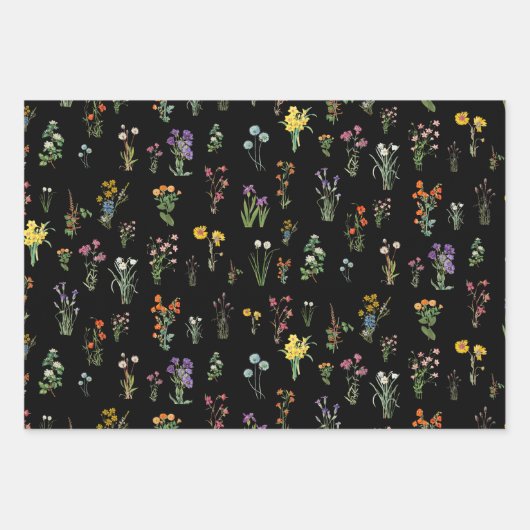 ワイルドフラワーウォーターカラーブラックボタニカルフローラ ラッピングペーパーシート (正面3)