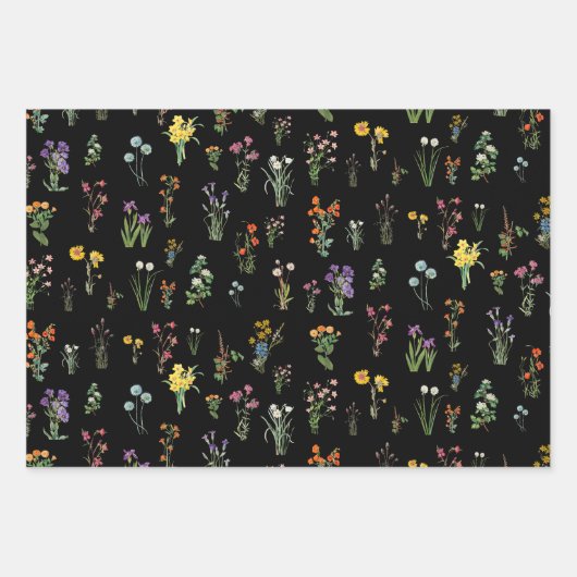 ワイルドフラワーウォーターカラーブラックボタニカルフローラ ラッピングペーパーシート (正面)
