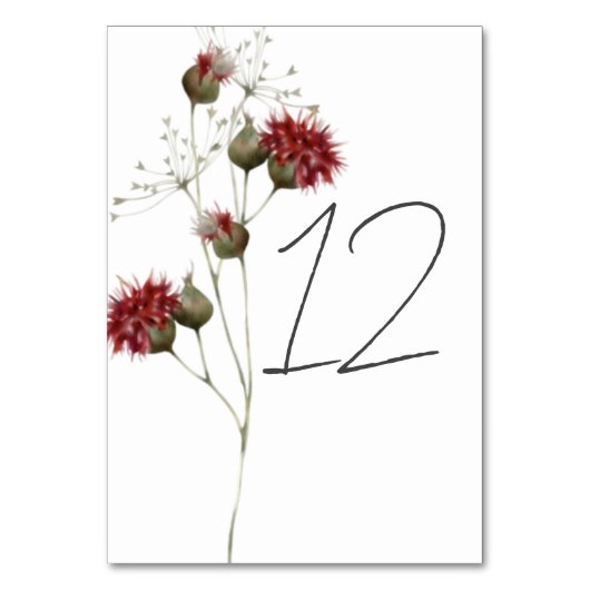 ワイルドフラワーカラフルウォーターのカラーフローラ テーブルナンバー (裏面)