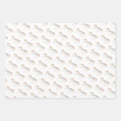 ワイルドフラワーカラフル誕生日 ラッピングペーパーシート (正面2)