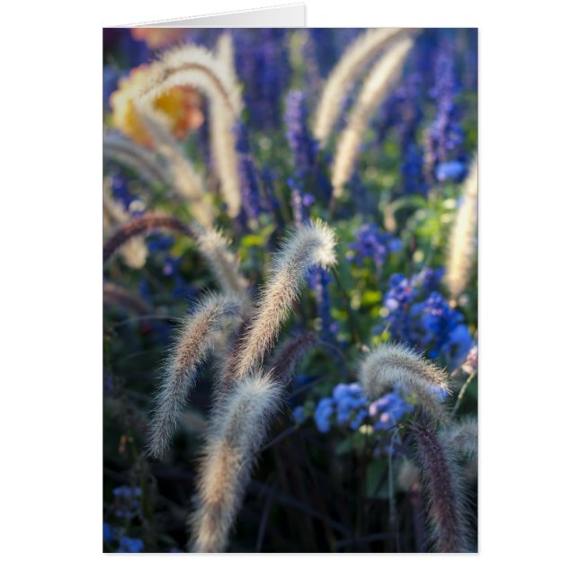 ワイルドフラワーカード (正面)