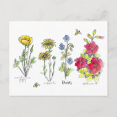 ワイルドフラワーガーデンボタニカルウォーター色のアートハチ ポストカード (正面)