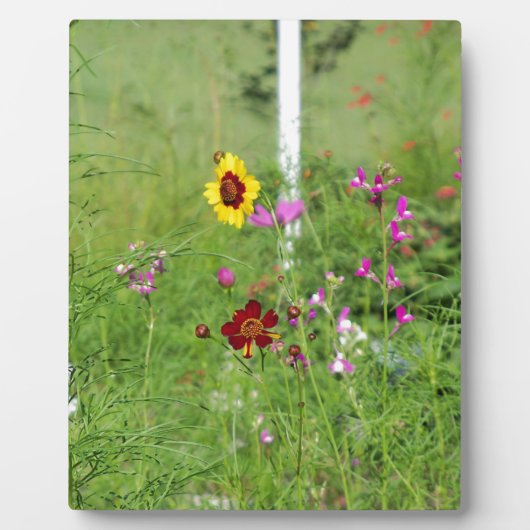 ワイルドフラワーガーデン フォトプラーク (正面)