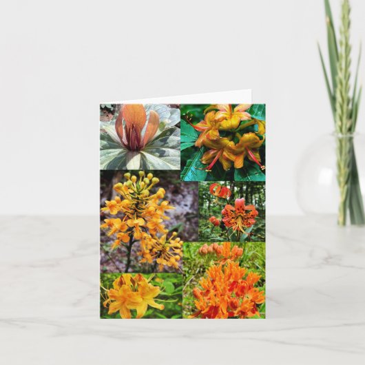 ワイルドフラワーコラージュ付き折り畳みグリーティングカード カード (正面)