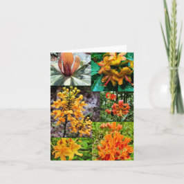 ワイルドフラワーコラージュ付き折り畳みグリーティングカード カード