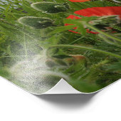 ワイルドフラワーコースト フォトプリント            (角)