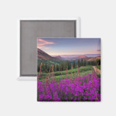 ワイルドフラワーサンライズ |コロラド州，クリステッドビュート マグネット (正面/裏面)