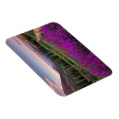 ワイルドフラワーサンライズ |コロラド州,クリステッドビュート マグネット (右側)