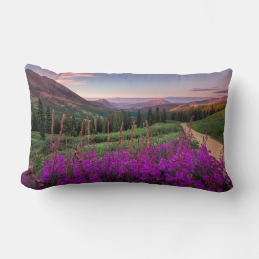 ワイルドフラワーサンライズ |コロラド州，クリステッドビュート ランバークッション (正面)