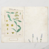 ワイルドフラワージャンクジャーナルページフロント/バックヴィンテージ (正面)