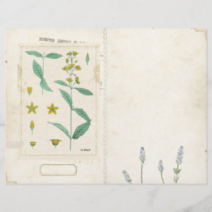 ワイルドフラワージャンクジャーナルページフロント/バックヴィンテージ