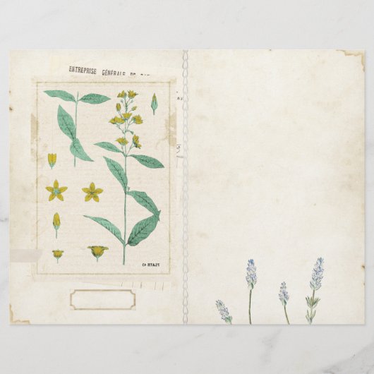 ワイルドフラワージャンクジャーナルページフロント/バックヴィンテージ (正面)