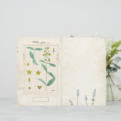 ワイルドフラワージャンクジャーナルページフロント/バックヴィンテージ (スタンド正面)