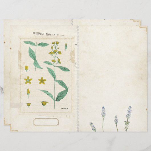 ワイルドフラワージャンクジャーナルページフロント/バックヴィンテージ (正面/裏面)