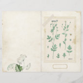 ワイルドフラワージャンクジャーナルページフロント/バックヴィンテージ (裏面)