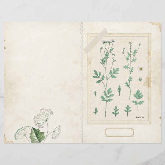 ワイルドフラワージャンクジャーナルページフロント/バックヴィンテージ (裏面)