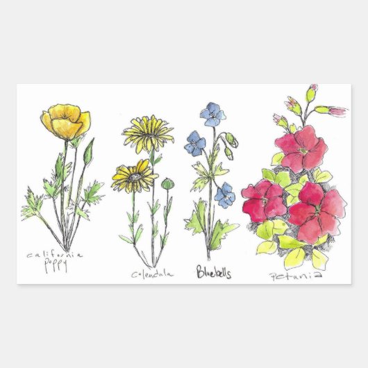 ワイルドフラワースケッチブラックインクペンウォーターカラーアート 長方形シール (正面)